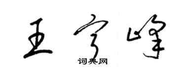 梁锦英王宁峰草书个性签名怎么写