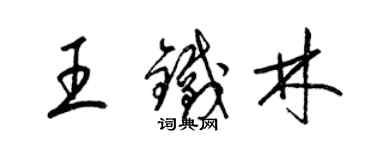 梁锦英王铁林草书个性签名怎么写
