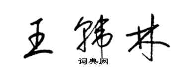 梁锦英王韩林草书个性签名怎么写