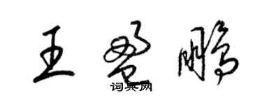 梁锦英王盈鹏草书个性签名怎么写