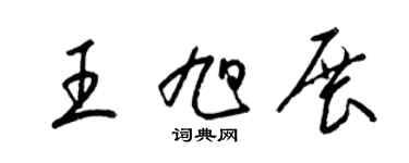 梁锦英王旭展草书个性签名怎么写