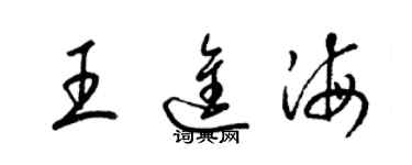 梁锦英王进海草书个性签名怎么写