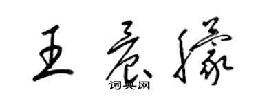 梁锦英王晨朦草书个性签名怎么写