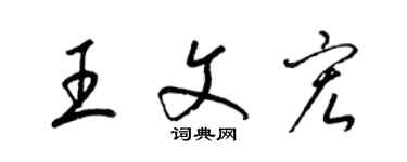 梁锦英王文宏草书个性签名怎么写
