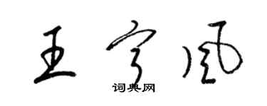 梁锦英王宁风草书个性签名怎么写