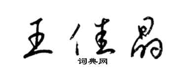 梁锦英王佳晶草书个性签名怎么写