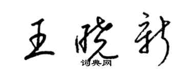 梁锦英王晓新草书个性签名怎么写
