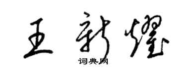 梁锦英王新耀草书个性签名怎么写
