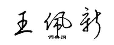 梁锦英王佩新草书个性签名怎么写