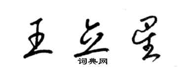梁锦英王立星草书个性签名怎么写