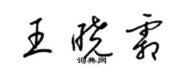 梁锦英王晓霜草书个性签名怎么写