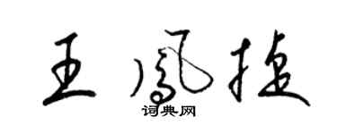 梁锦英王凤捷草书个性签名怎么写