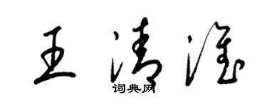 梁锦英王清淮草书个性签名怎么写