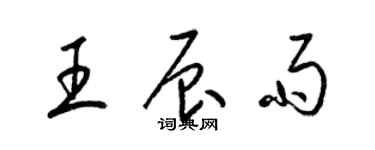 梁锦英王辰雨草书个性签名怎么写