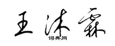 梁锦英王沐霖草书个性签名怎么写
