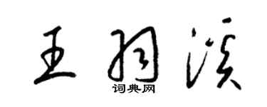 梁锦英王羽溪草书个性签名怎么写