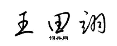 梁锦英王田翊草书个性签名怎么写