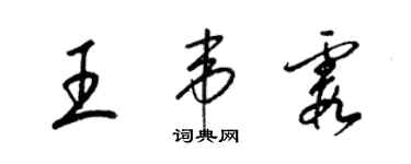 梁锦英王韦霞草书个性签名怎么写
