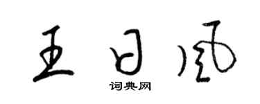 梁锦英王日风草书个性签名怎么写