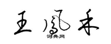 梁锦英王凤禾草书个性签名怎么写