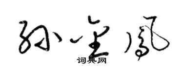 梁锦英孙金凤草书个性签名怎么写