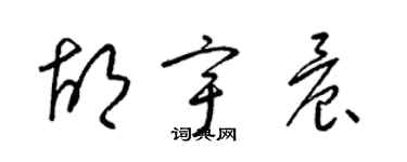 梁锦英胡宇晨草书个性签名怎么写