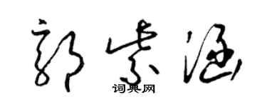 梁锦英郭紫涵草书个性签名怎么写