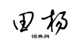 梁锦英田杨草书个性签名怎么写