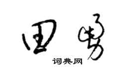 梁锦英田勇草书个性签名怎么写