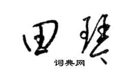 梁锦英田琴草书个性签名怎么写