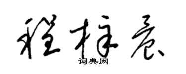 梁锦英程梓晨草书个性签名怎么写