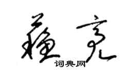梁锦英苏亮草书个性签名怎么写