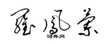 梁锦英罗凤兰草书个性签名怎么写