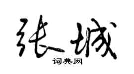 曾庆福张城行书个性签名怎么写