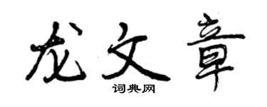 曾庆福龙文章行书个性签名怎么写