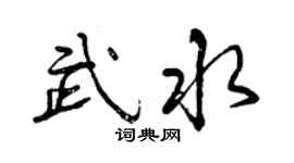 曾庆福武水行书个性签名怎么写