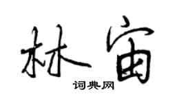 曾庆福林宙行书个性签名怎么写
