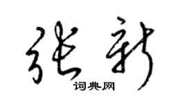 梁锦英张新草书个性签名怎么写