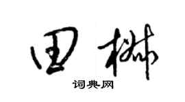 梁锦英田椒草书个性签名怎么写