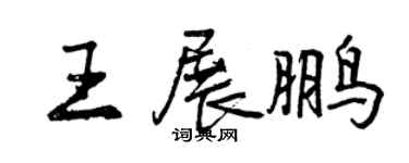曾庆福王展鹏行书个性签名怎么写