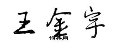 曾庆福王金宇行书个性签名怎么写