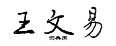 曾庆福王文易行书个性签名怎么写