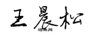 曾庆福王晨松行书个性签名怎么写