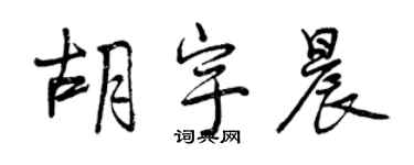 曾庆福胡宇晨行书个性签名怎么写