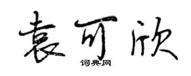 曾庆福袁可欣行书个性签名怎么写