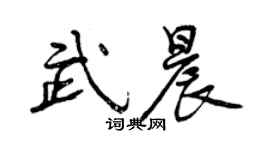 曾庆福武晨行书个性签名怎么写