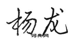 骆恒光杨龙行书个性签名怎么写