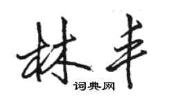 骆恒光林丰行书个性签名怎么写