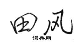 骆恒光田风行书个性签名怎么写