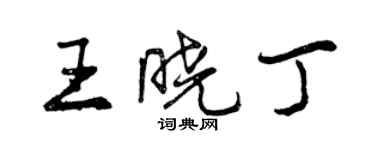 曾庆福王晓丁行书个性签名怎么写